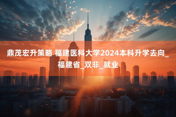 鼎茂宏升策略 福建医科大学2024本科升学去向_福建省_双非_就业