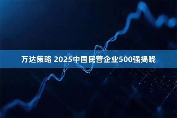 万达策略 2025中国民营企业500强揭晓