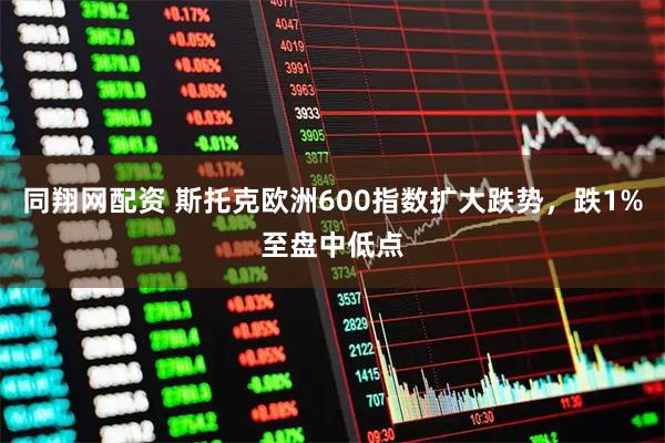 同翔网配资 斯托克欧洲600指数扩大跌势，跌1%至盘中低点